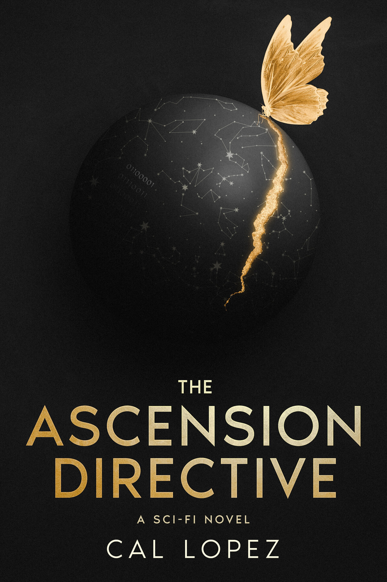 The Ascension Directive book cover